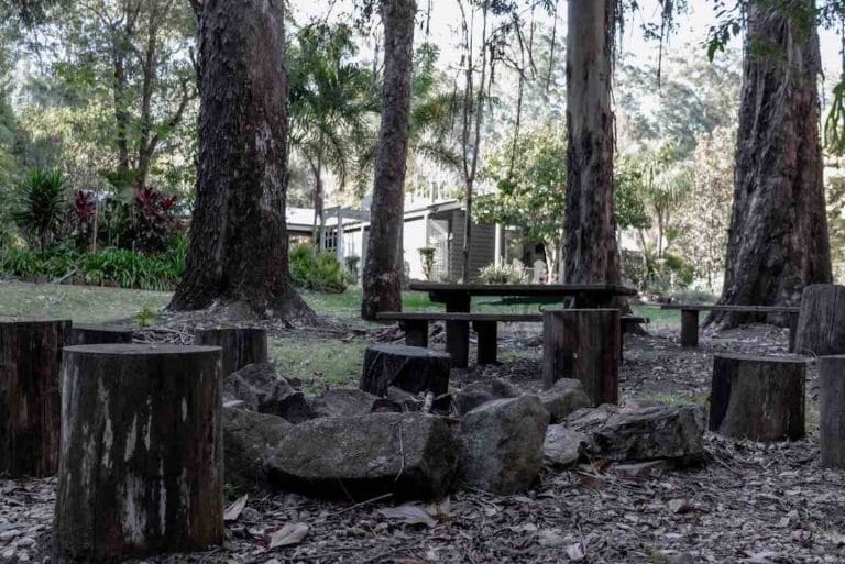The fire pit area among the trees